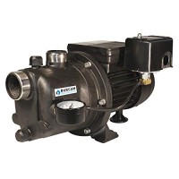 BURCAM 506221P 3/4 HP Noryl Shallow Well Jet Pump BURCAM 506221P 3/4 HP Noryl Shallow Well Jet Pump