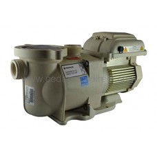 Pentair SuperFlo VS - Variable Speed Pump - #353132