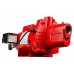 Red Lion RJS-100-PREM 602208 Premium Cast Iron Shallow Well Jet Pump