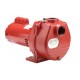 Red Lion RLSP-200 2-HP 80-GPM Cast Iron Sprinkler Pump